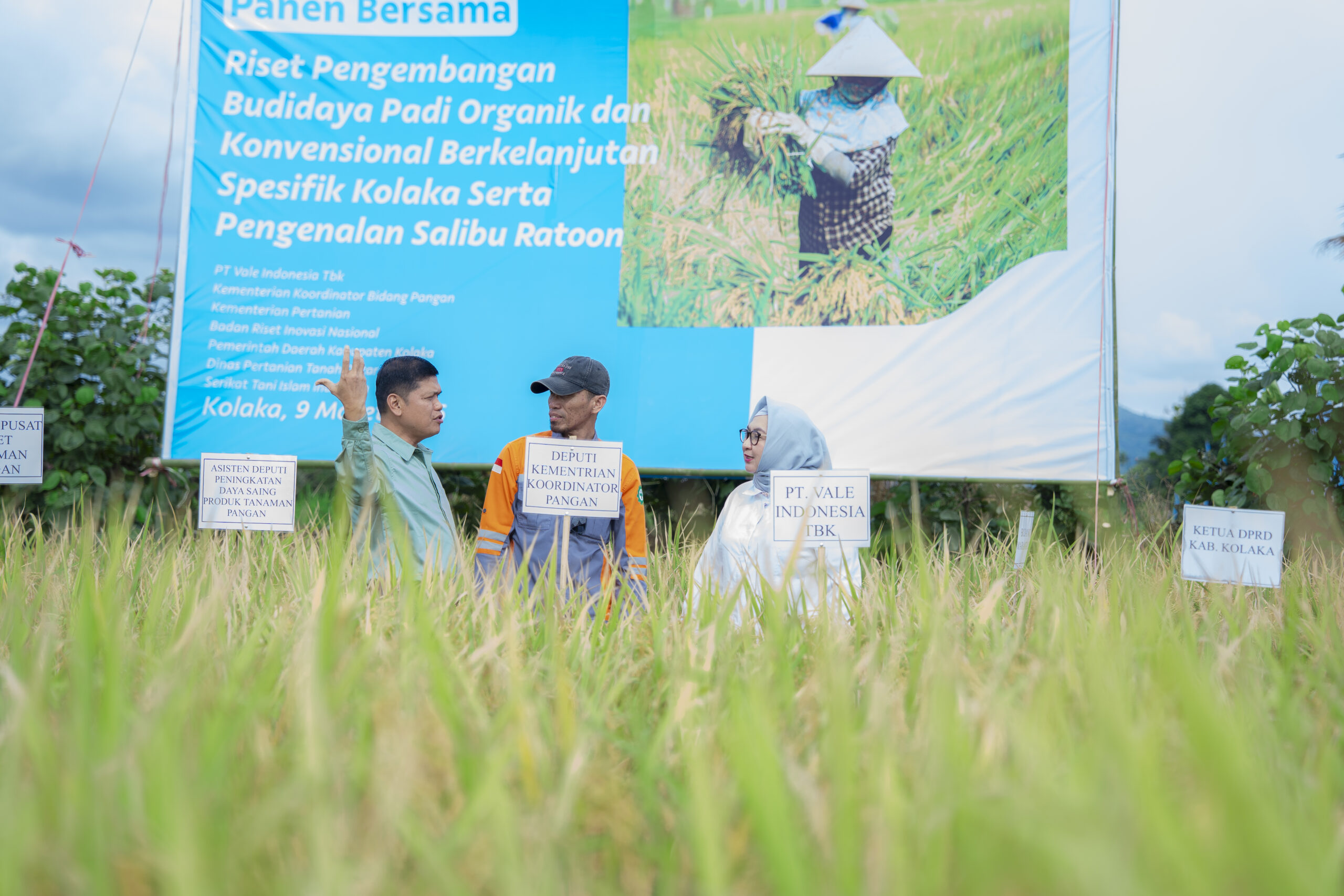 Kolaborasi PT Vale dan Petani Kolaka Tingkatkan Produktivitas Padi hingga 6,9 Ton