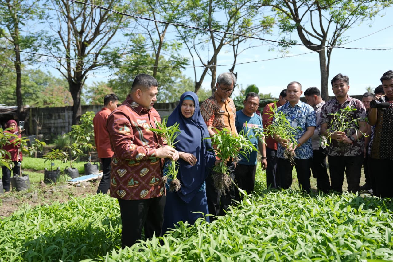 Lahan Sempit Jadi Produktif, Program Urban Farming Makassar Tunjukkan Hasil Nyata