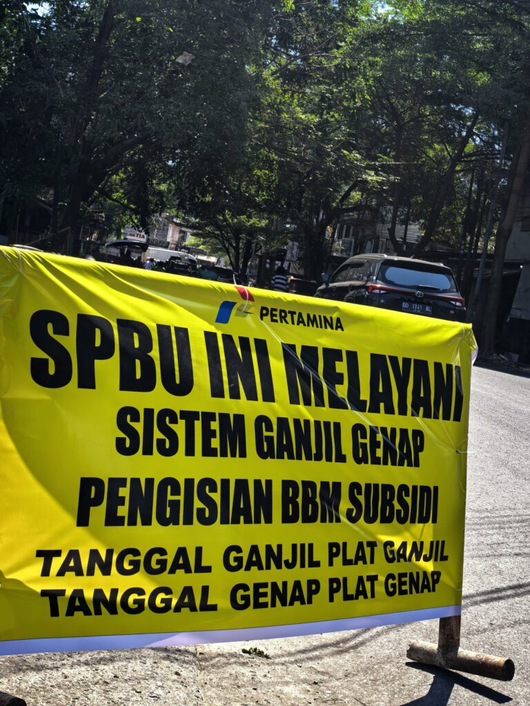 N4026_vivi